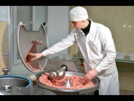 Производство натуральной сырокопченой колбасы Технологический факультет УрГАУ