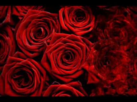 Алла Пугачева Миллион Алых Роз Million of Scarlet Roses