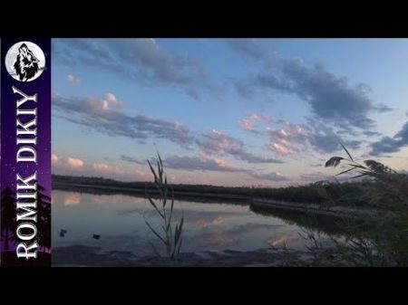 Топарские озера Открытие сезона на утку Рыбалка на змееголова Сентябрь 2018г