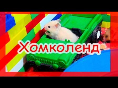 Хомяки в диснейленде