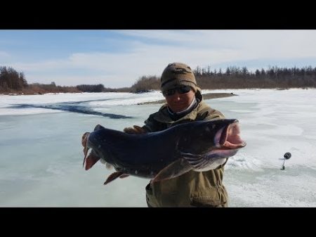 Приключения ШЕРП в Якутии рыбалка 2 часть Аdventure of Sherp in Yakutia fishing 2 p