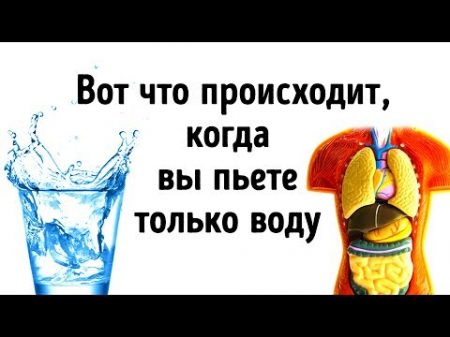 Что Будет Если Все Напитки Заменить Водой