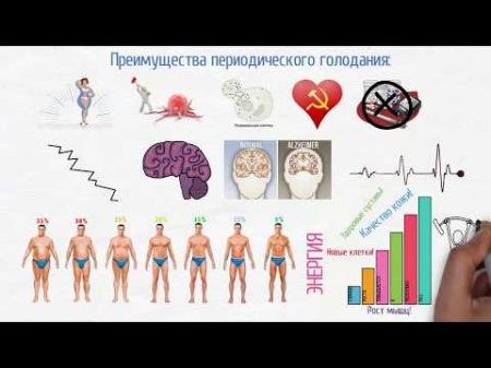 Периодическое голодание! Шокирующая правда!