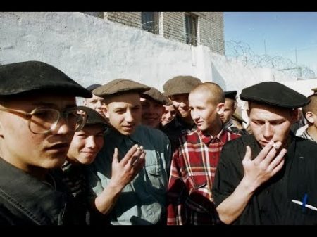 Что ждёт ботаников в тюрьме