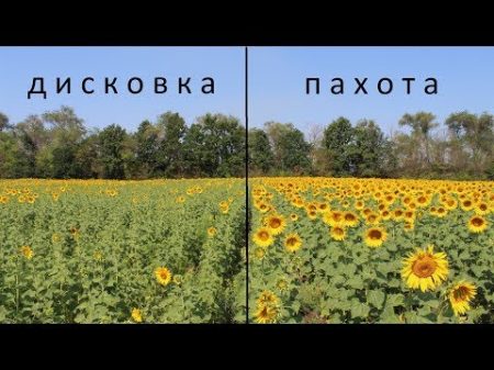 Пахота VS Дисковка Часть 2