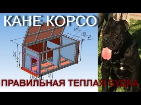 Будка с подогревом Качественная теплая будка с СЕКРЕТОМ КанеКорсо зимой будка