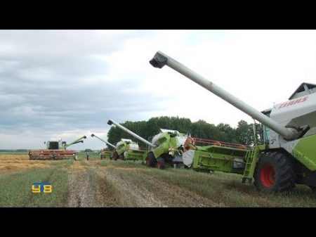 Уборка зерновых в СПК Емуртлинский