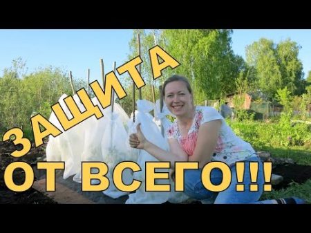 ЗАЩИТА от ВСЕГО! Трубы из спанбонда для растений White spunbond for plant protection