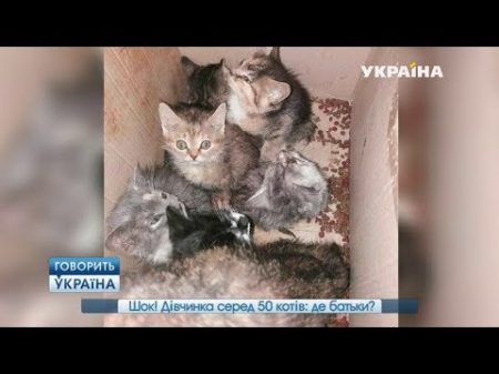 Шок! Девочка среди 50 кошек где родители полный выпуск Говорить Україна