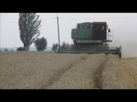 Уборка 2018 Канадская трансгенная пшеница Толедо 70ц га
