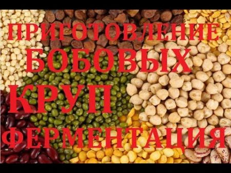 Приготовление бобовых и круп Фитиновая кислота и фитаза Устранение игибиторов Павел Ян