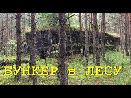 КОП по ПЕРВОЙ МИРОВОЙ Нашли бункер в лесу и оборона мертвого города Фильм 56