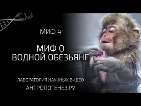 Миф о водной обезьяне Мифы об эволюции человека