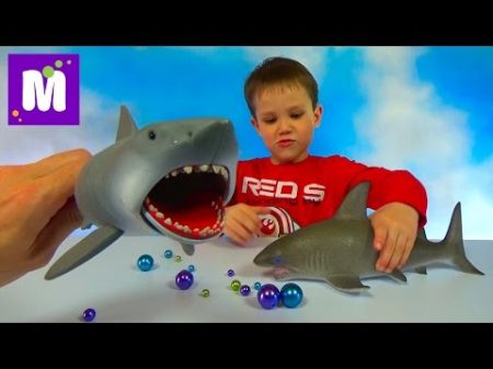 Акула растущая в воде и игрушечная акула Челюсти выращивание в воде
