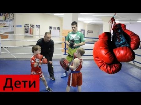 БОКС для детей развитие координации ударная техника ОФП уроки бокса Евгения Бровкина