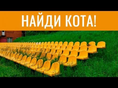 НАЙДИ КОТА! Попробуй найди кота на фотке БУДЬ В КУРСЕ TV