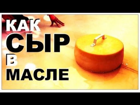 Галилео Как сыр в масле