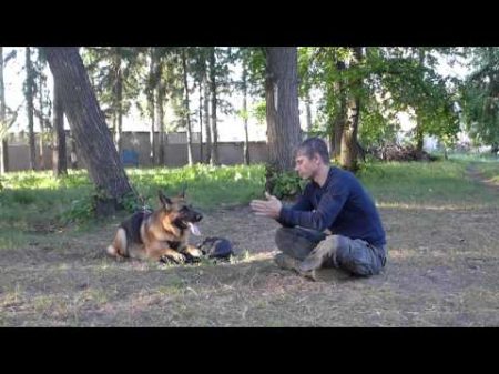Охрана вещи Начальный тренинг