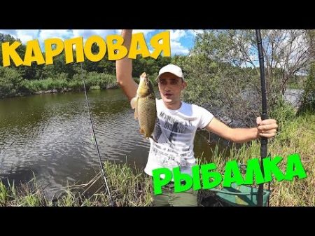 Карповая рыбалка на удочку Жареная картошка с овощами и карпом