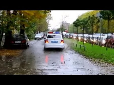 СтопХамСПб По вашей причине