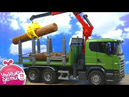 Спецтехника BRUDER Игры и игрушки для мальчиков Bruder Toys Машина Лесовоз Scania с краном