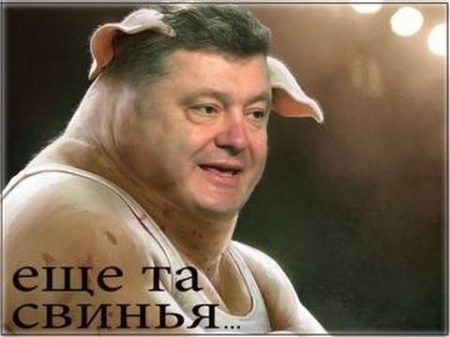 Шоколадный поросёнок Петру Порошенко шуточная песня под гитару