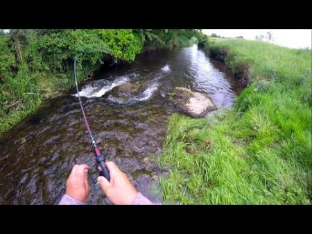 Small creek trout fishing with Power Tail in Ireland Рыбалка на форель в ручье