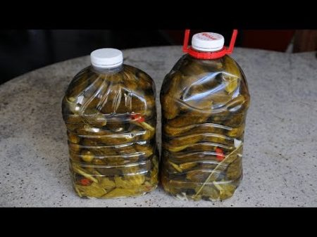 Огурцы в Пластиковой Бутылке Выпуск 272 Огурцы в Пластиковой Бутылке Выпуск 272