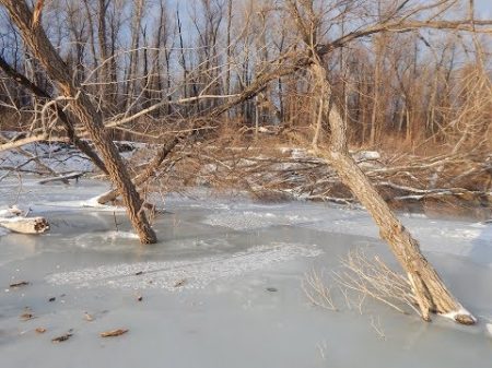 МЫ В ШОКЕ! ДВА ТРОФЕЯ ЗА ОДНУ РЫБАЛКУ! Глубинный хищник на балансир!