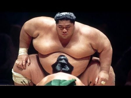 БОЙЦЫ СУМО Как они живут и тренируются Самый большой сумоист в истории