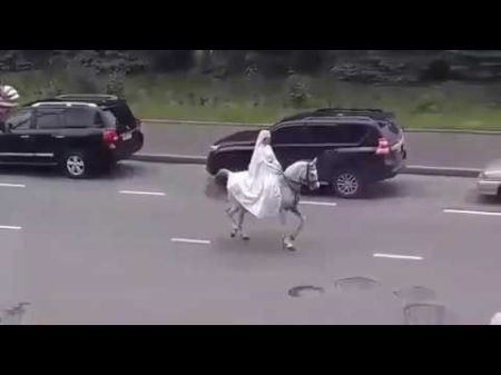 Осетинский танец на лошади