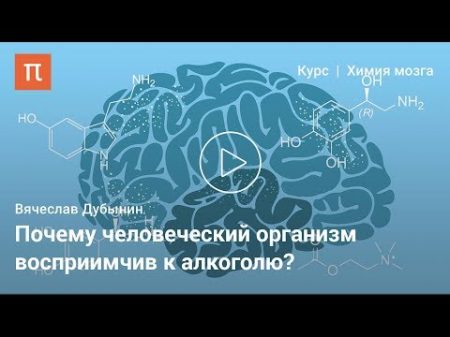 Мозг и алкоголь Вячеслав Дубынин