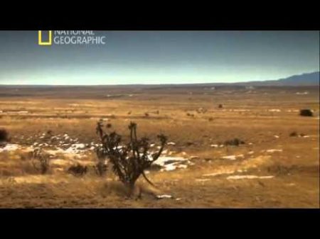 В поисках правды НЛО The Truth Behind UFOs 2011 National Geographic