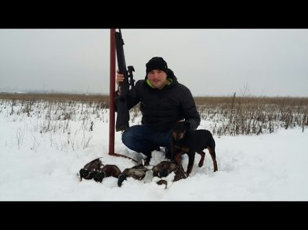 хатсан 125 best duck hunting with air rifles hatsan!hunting with Pneumatic hatsan agdterrier