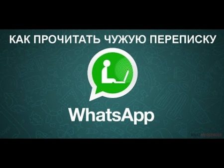 Как прочитать чужую переписку WhatsApp Секреты
