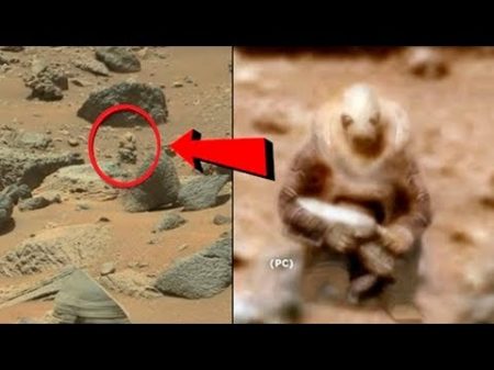 ПОДЗЕМНАЯ ЖИЗНЬ НА МАРСЕ Ученые обнаружили на Марсе неизвестную форму жизни Куда исчез марсоход