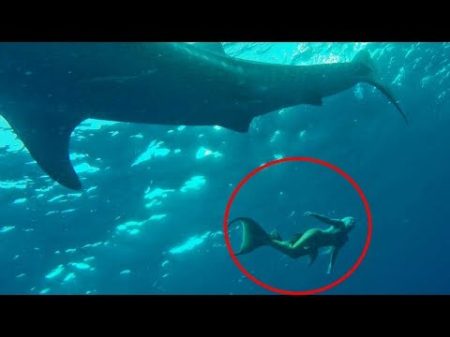 5 РУСАЛОК СНЯТЫХ НА ВИДЕО ЧАСТЬ 2 Русалки Снятые На Камеру