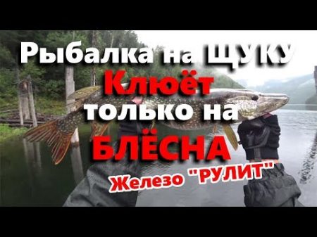 Рыбалка у БЕЛОЙ СКАЛЫ Саяно Шушенское водохранилище