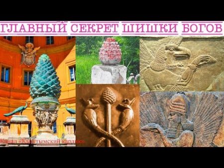 Главный секрет шишки богов