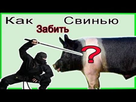 Как правильно забить свинью Жизнь в деревне