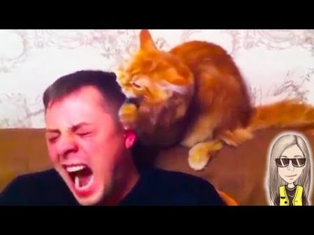 ПРИЗНАКИ ЧТО КОТ ТЕБЯ ЛЮБИТ МоМо