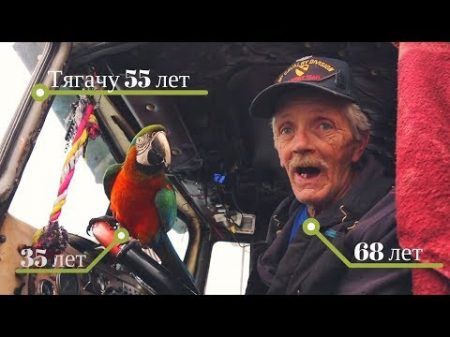 Старик дальнобойщик с попугаем на старом траке