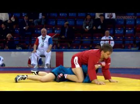 Чемпионат Мира по самбо 2012 Минск Беларусь Мужчины 68 кг