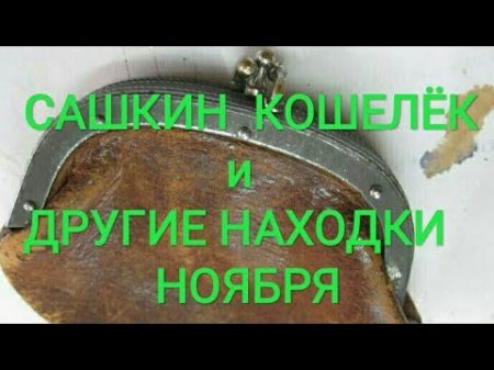 Сашкин кошелёк и другие находки ноября