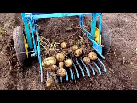 мтз 13 копаем картофель картофелекопалкой 2017