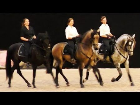 Потрясающе красивый испанский танец верхом на лошадях Андалузская испанская лошадь Иппосфера 2017