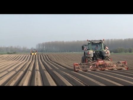Как выращивают картофель в Европе