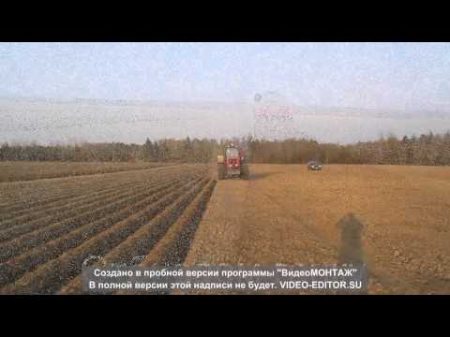 Посадка картофеля в фермерском хозяйстве Фортуна 2014 г