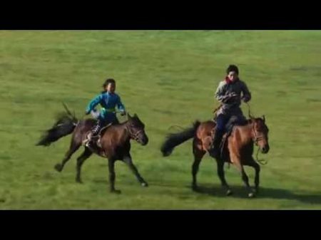Монголия Лошади Монгольские ковбои Horse