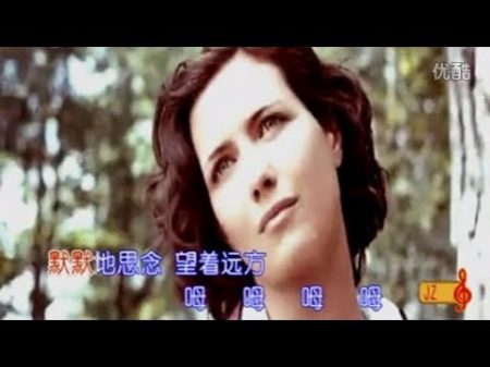 苏联歌曲 鹤群 Журавли 中文版